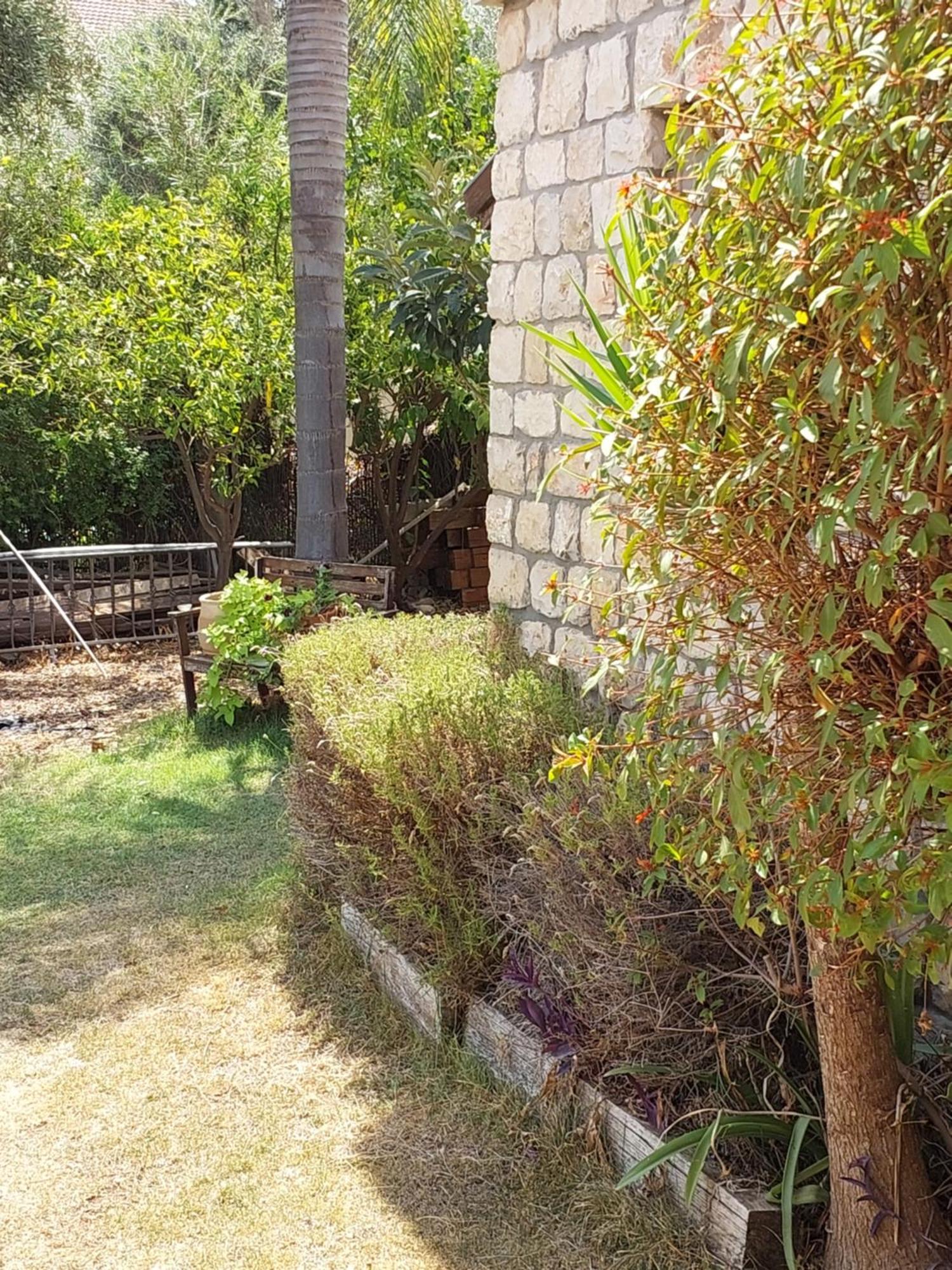 Neve Nof Apartment Rosh Pinna Bilik gambar