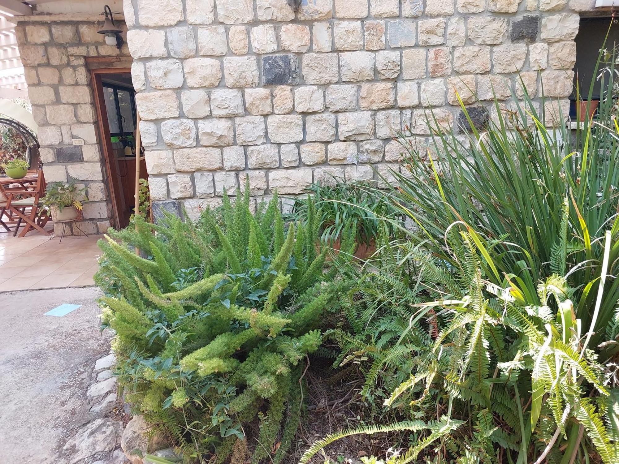 Neve Nof Apartment Rosh Pinna Bilik gambar